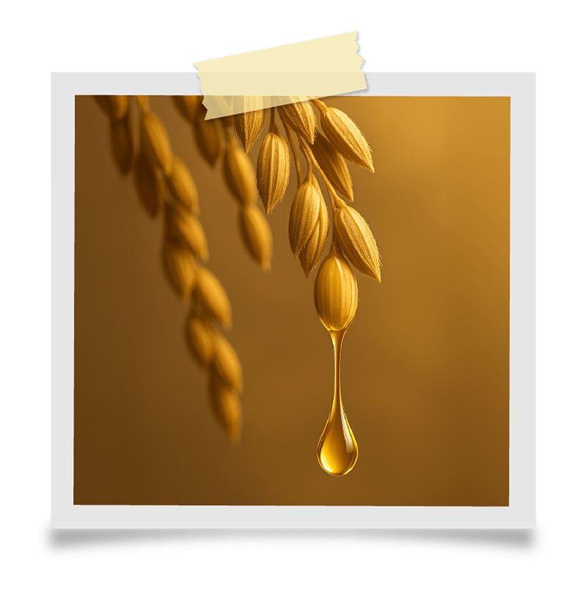kidzola oil ingredient