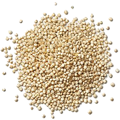 Bajra
